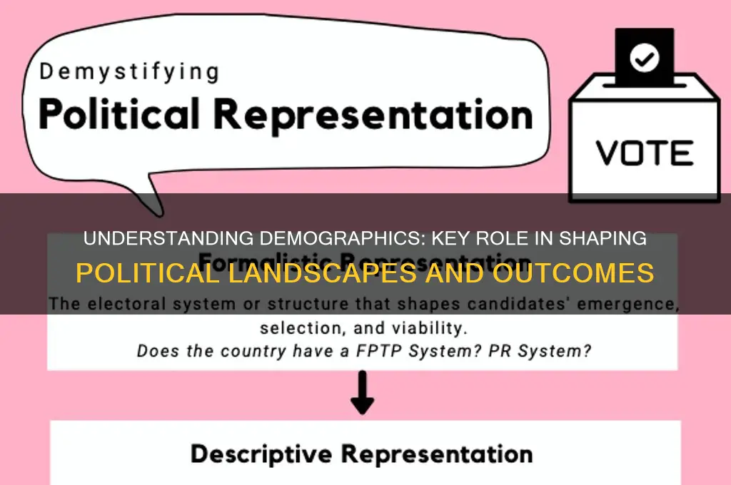 what are demographics in politics