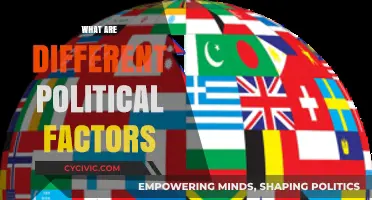 Understanding Political Factors: Key Influences Shaping Global Policies and Decisions