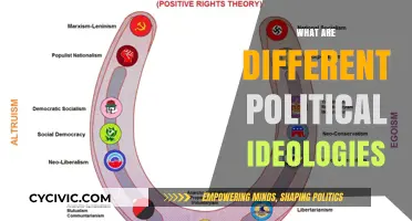 Exploring the Spectrum: Understanding Diverse Political Ideologies and Beliefs