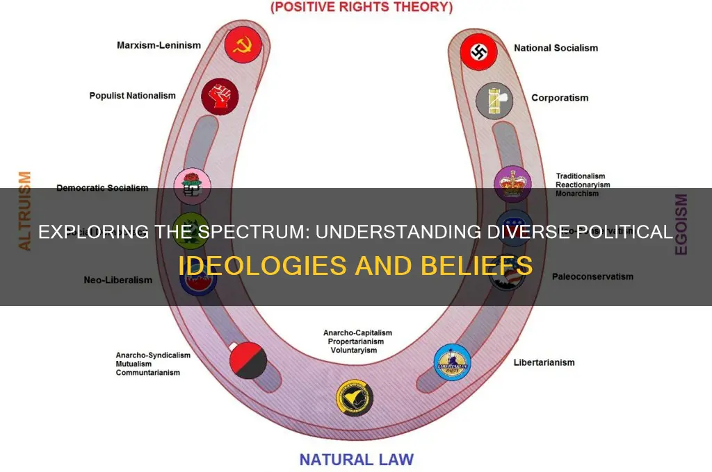 what are different political ideologies