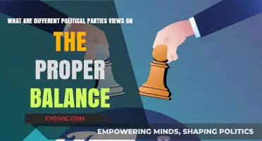 Balancing Act: Political Parties' Perspectives on Governance and Power