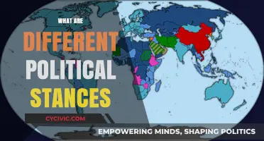 Exploring Diverse Political Stances: Ideologies, Beliefs, and Global Perspectives