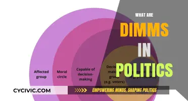 Understanding DIMMs: Political Strategies and Their Impact on Campaigns