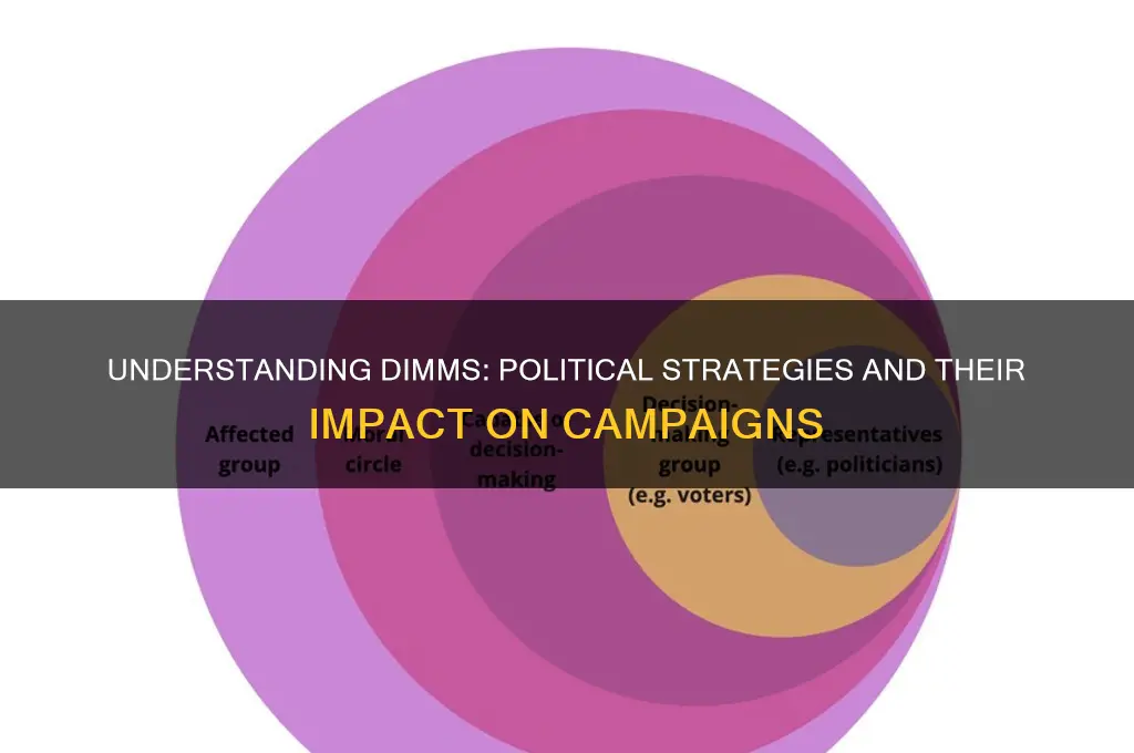 what are dimms in politics