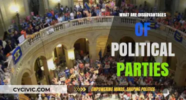 The Dark Side of Democracy: Political Parties' Hidden Pitfalls