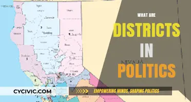 Understanding Political Districts: Roles, Functions, and Electoral Significance