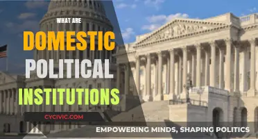 Understanding Domestic Political Institutions: Structure, Function, and Impact