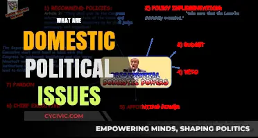 Understanding Domestic Political Issues: Key Challenges Shaping Nations Internally