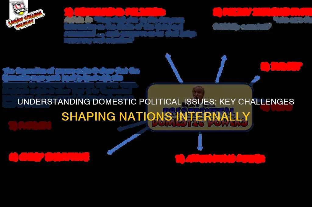 what are domestic political issues