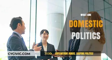 Understanding Domestic Politics: Local Governance, Policies, and Power Dynamics
