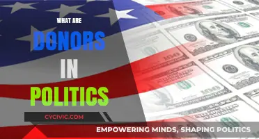 Understanding Political Donors: Their Role, Influence, and Impact on Campaigns