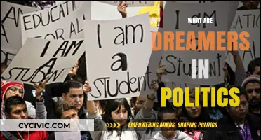Dreamers in Politics: Shaping Ideals, Challenging Norms, and Driving Change