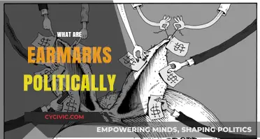 Understanding Earmarks: Political Implications and Public Perception Explained