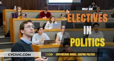 Understanding Electives in Politics: Choices, Impact, and Strategic Decision-Making