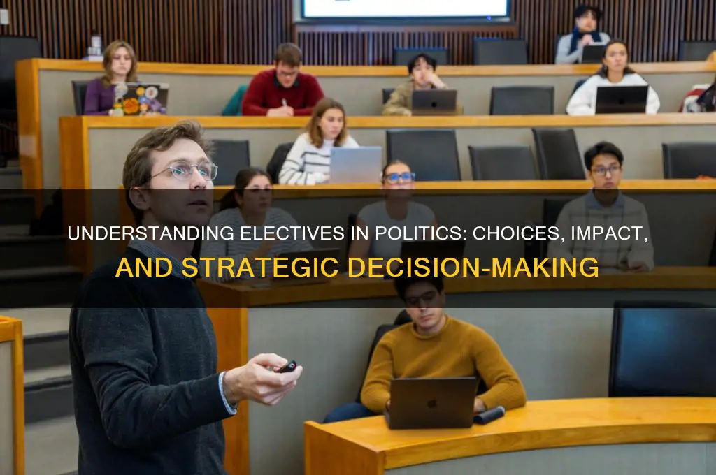 what are electives in politics