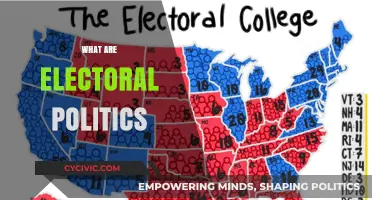 Understanding Electoral Politics: Democracy, Campaigns, and Voting Power Explained