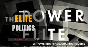 Understanding Elite Politics: Power, Influence, and Decision-Making Dynamics