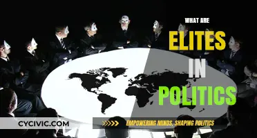 Understanding Political Elites: Power, Influence, and Decision-Making Dynamics
