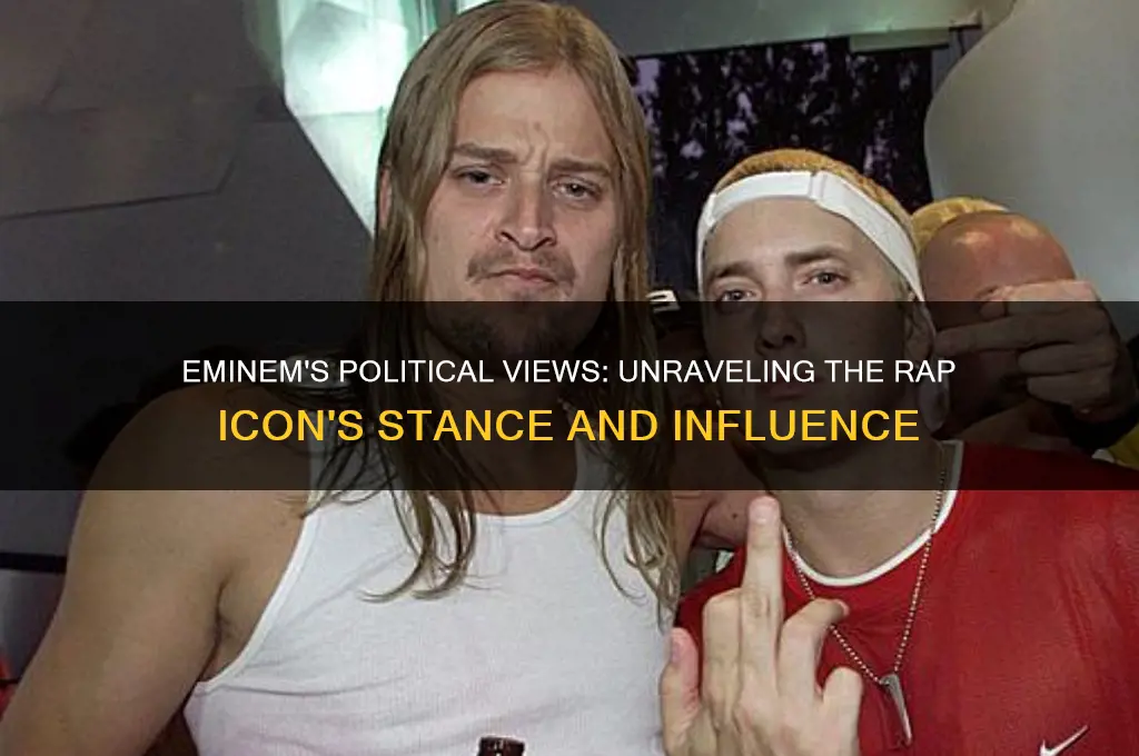 what are eminems politics