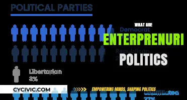 Understanding Entrepreneurial Politics: Strategies, Influence, and Economic Impact