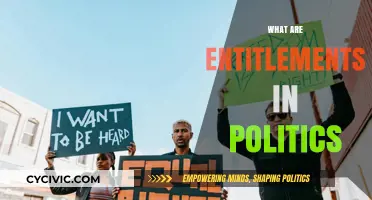 Understanding Political Entitlements: Rights, Privileges, and Power Dynamics Explained