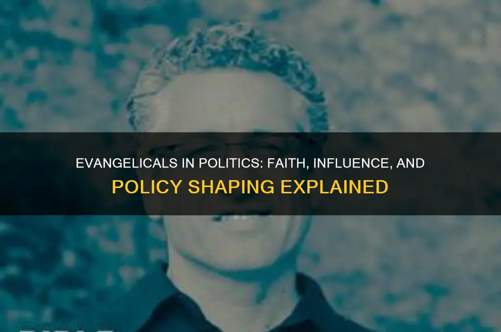 what are evangelicals in politics