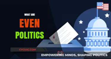 Understanding Politics: A Beginner's Guide to the Complex World of Governance