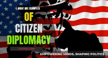 Citizen Diplomacy in Action: Real-World Examples