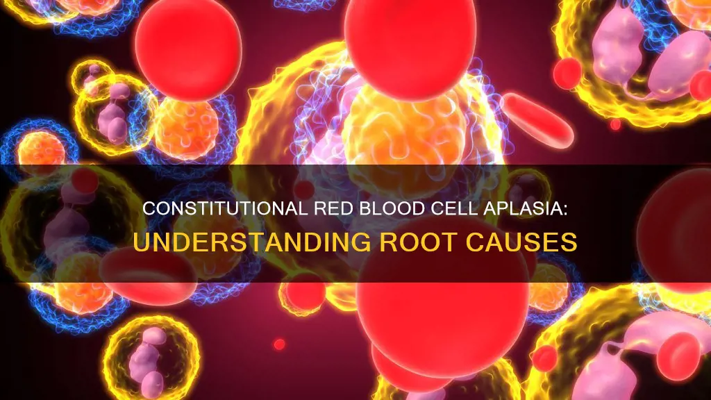 what are examples of constitutional red blood cell aplasia