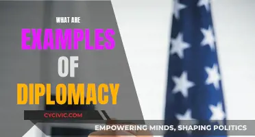 Diplomatic Art: Examples of Diplomacy in Action