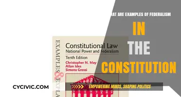 Federalism in the Constitution: Examples and Applications