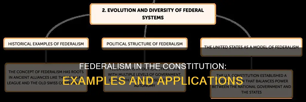 what are examples of federalism in the constitution