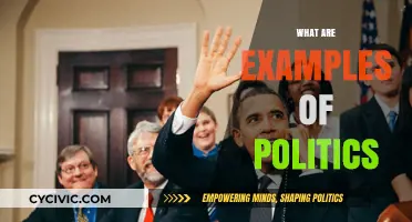 Exploring Real-World Examples of Politics in Action Today