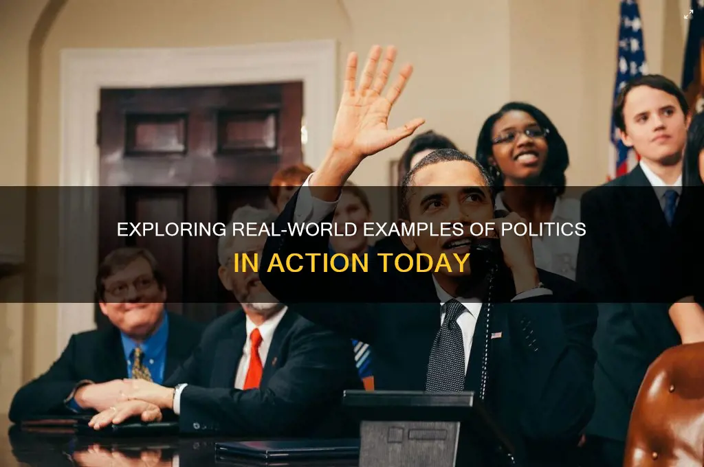 what are examples of politics