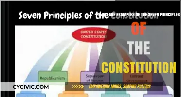 Constitutional Principles: Examples and Their Importance