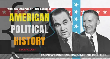 Third Parties in American Politics: Historical Examples and Impact