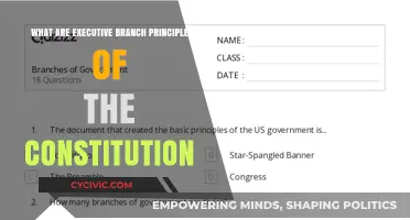 Executive Branch: Constitutional Principles Explained