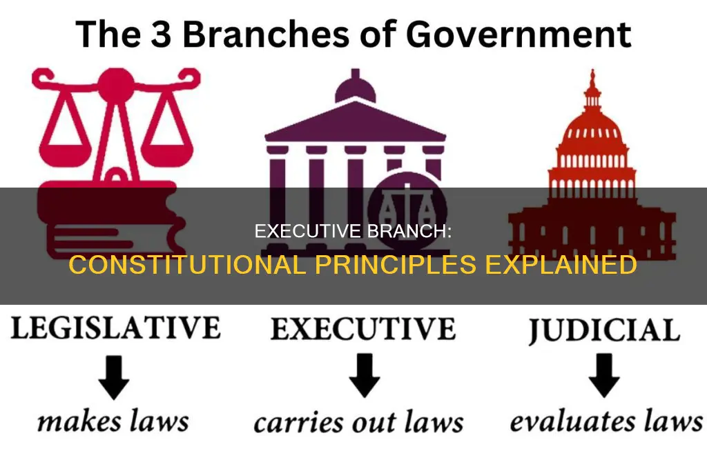 what are executive branch principle of the constitution