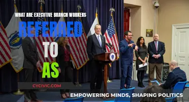 Who Are Executive Branch Workers: Job Title Explained