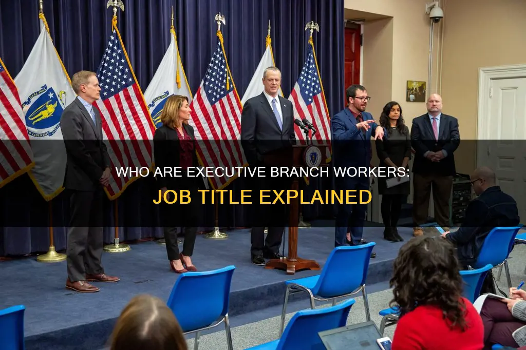what are executive branch workers referred to as