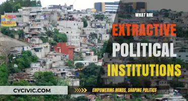 Understanding Extractive Political Institutions: Power, Exploitation, and Economic Impact