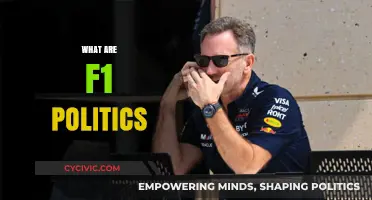 Understanding F1 Politics: Power, Strategy, and Influence in Formula One