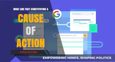 Understanding the Elements of a Cause of Action