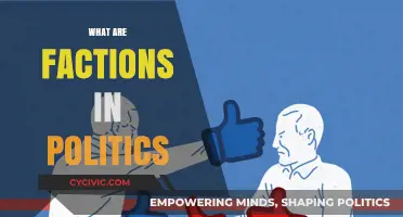 Understanding Political Factions: Their Role, Influence, and Impact on Governance