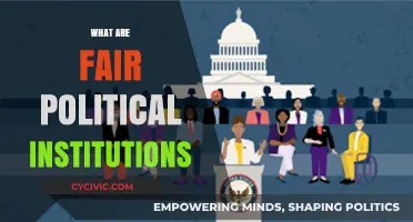 Building Fair Political Institutions: Principles, Practices, and Pathways to Equity