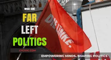 Understanding Far-Left Politics: Ideologies, Goals, and Global Impact Explained