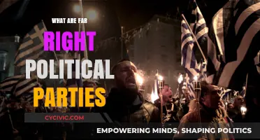 Understanding Far-Right Political Parties: Ideologies, Impact, and Global Rise