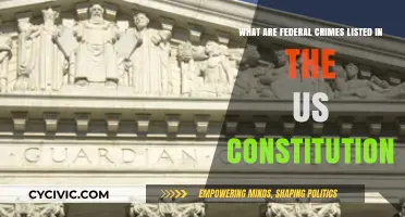 Federal Crimes: Understanding US Constitutional Law