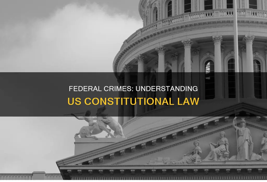 what are federal crimes listed in the us constitution