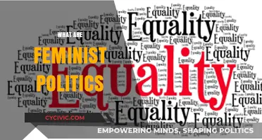 Understanding Feminist Politics: Power, Equality, and Social Transformation Explained